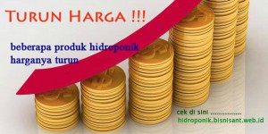 hidroponik_turunharga