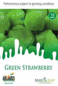 strawberyy_hijau_maica