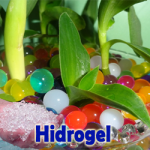 hidrogel