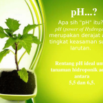 cara turunkan ph