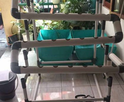 starter kit hidroponik tipe NFT6 di sekolah